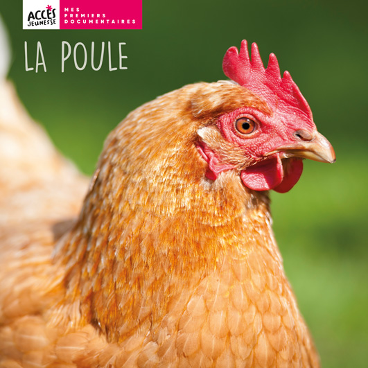 Couverture du livre photo La poule de la collection Mes Premiers Documentaires d'ACCÈS Jeunesse.